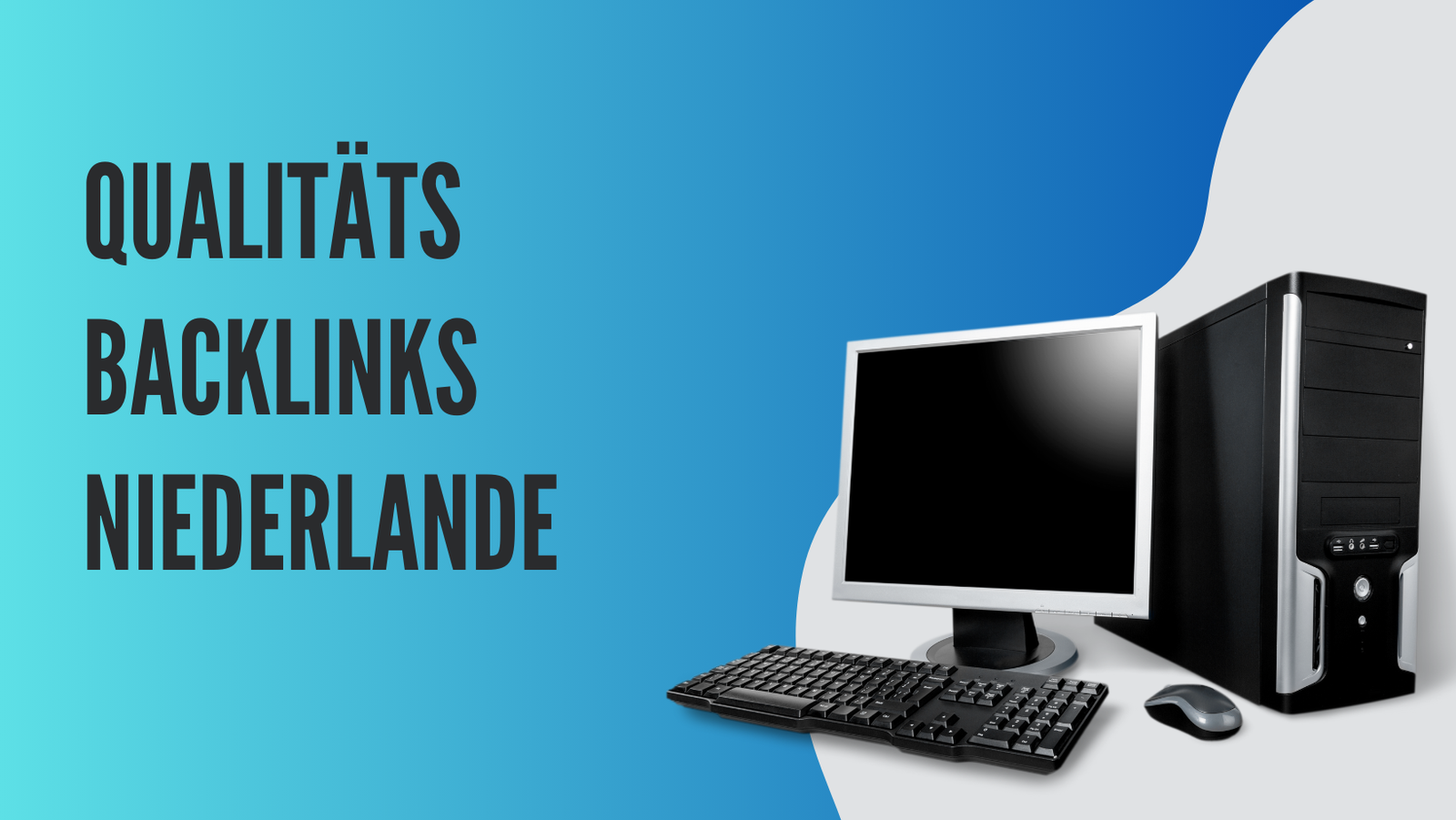 Qualitäts Backlinks Niederlande