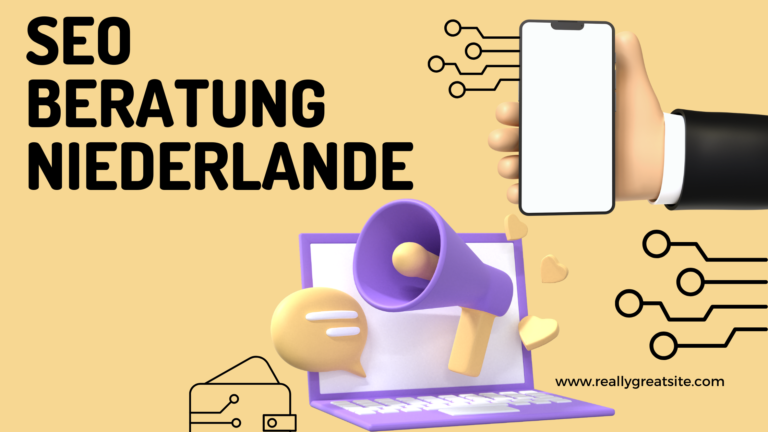 SEO Beratung Niederlande
